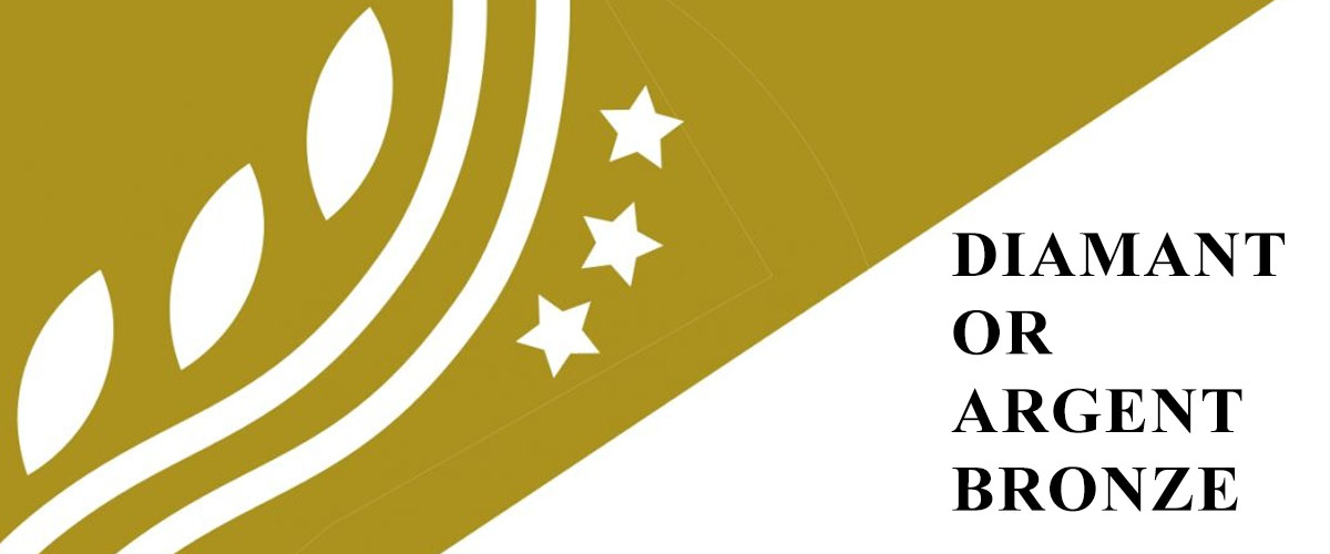 Devenez partenaire du CEMVS